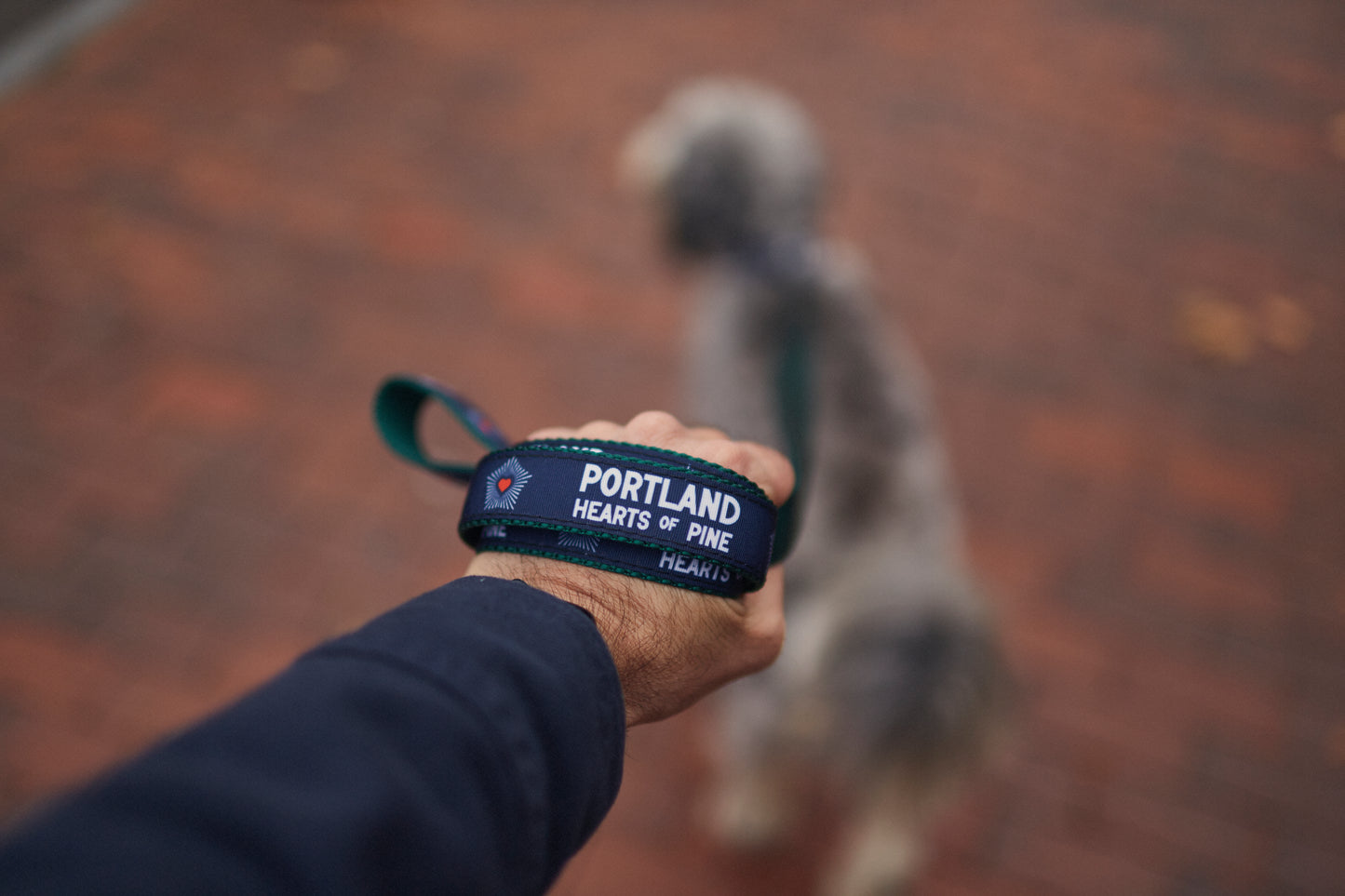 Hearts Dog Leash