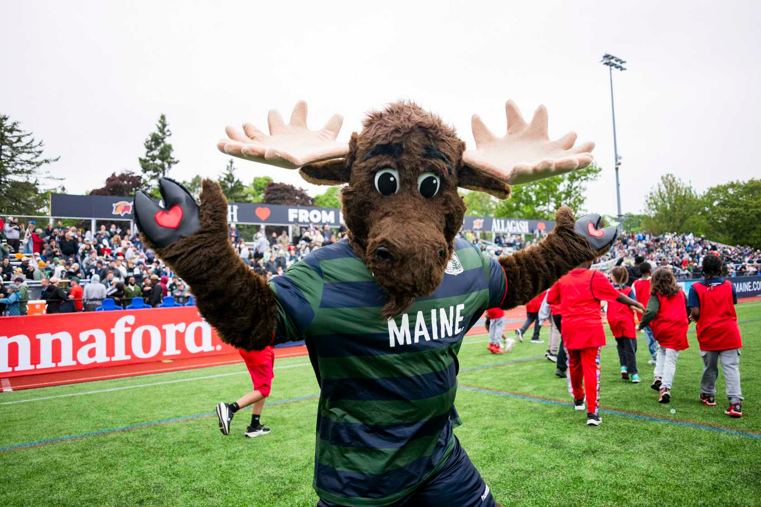 Moxie the Moose Collection