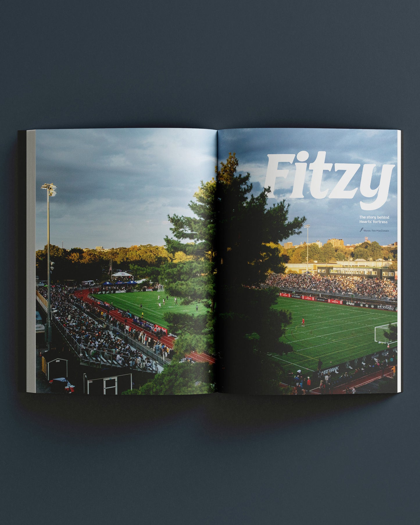 The Portland Hearts of Pine Book