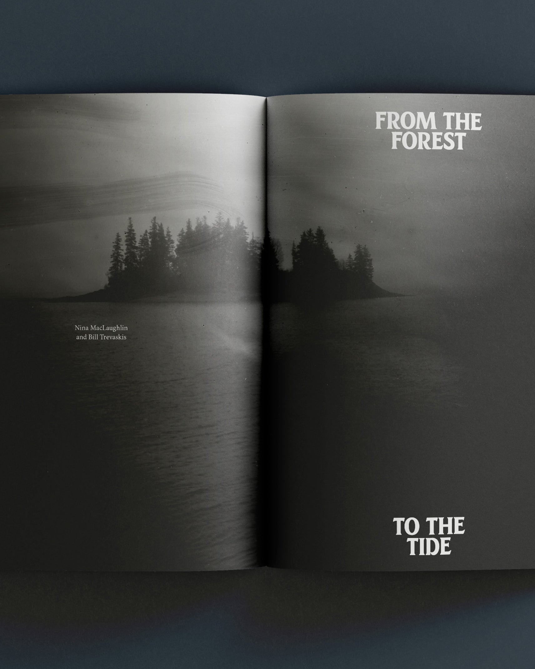 The Portland Hearts of Pine Book – Hearts of Pine SC