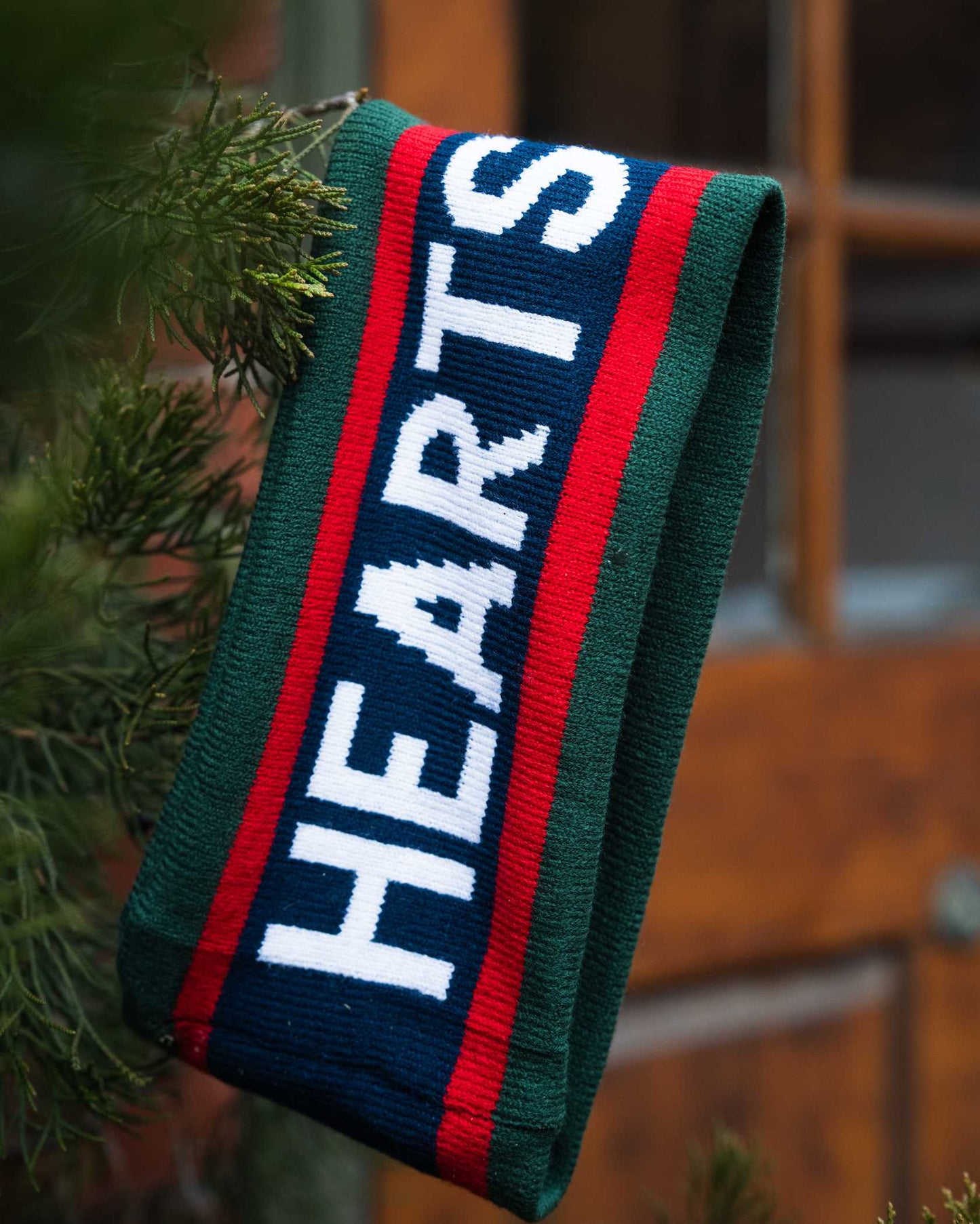 Hearts Ear Warmer