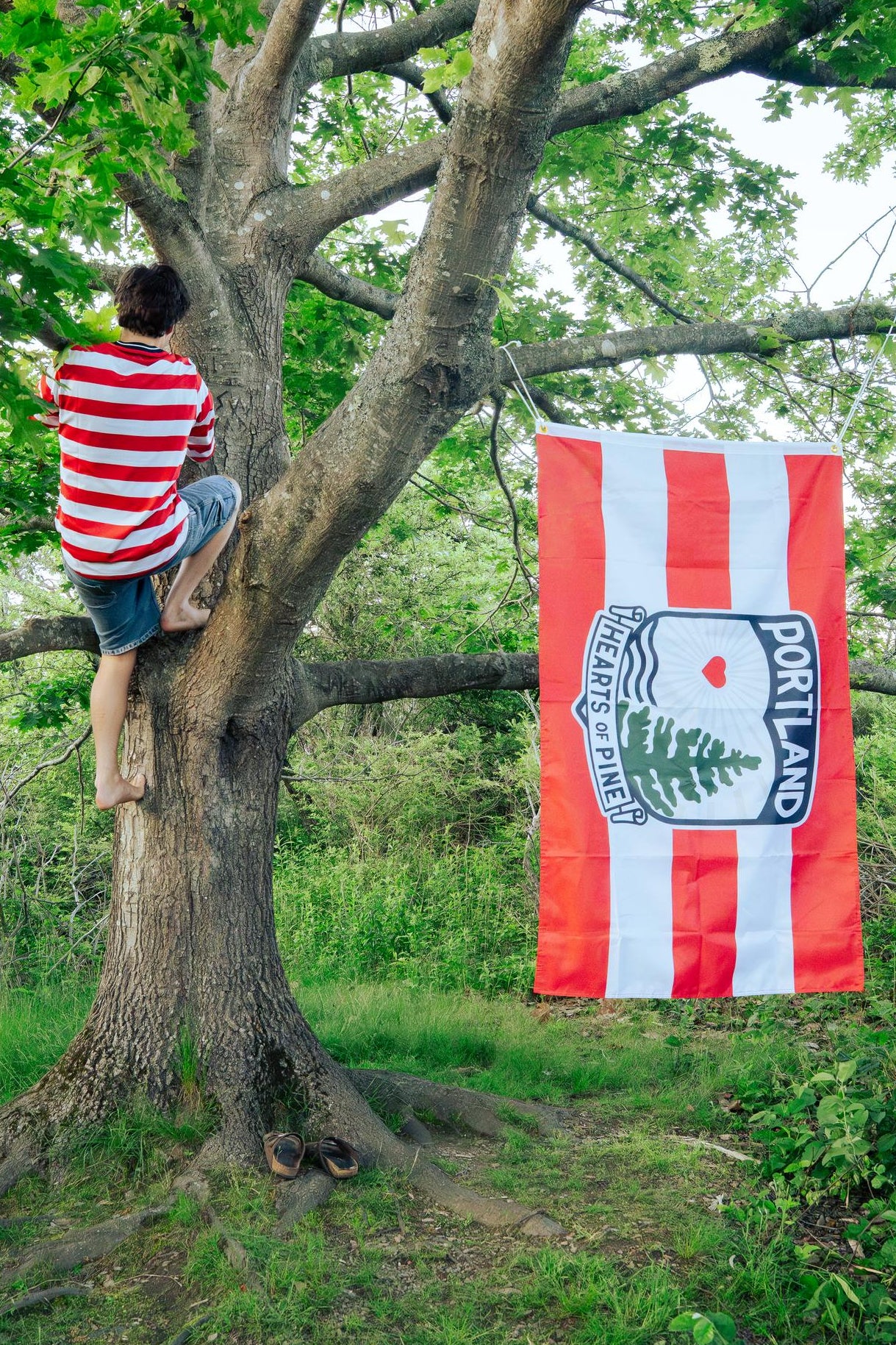 Lighthouse Flag