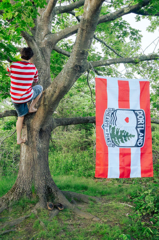 Lighthouse Flag