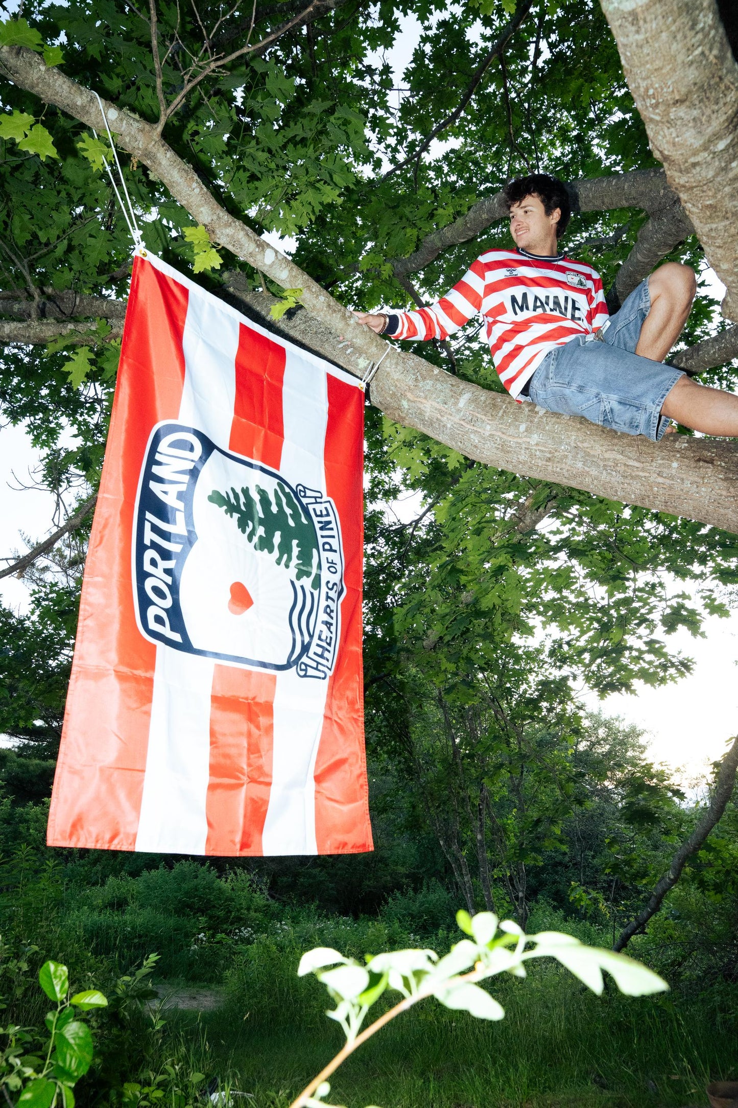 Lighthouse Flag